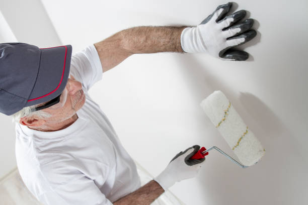Best Water Damage & Mold Remediation  in Clark, SD