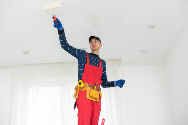 Best Crawl Space Mold Remediation  in Clark, SD