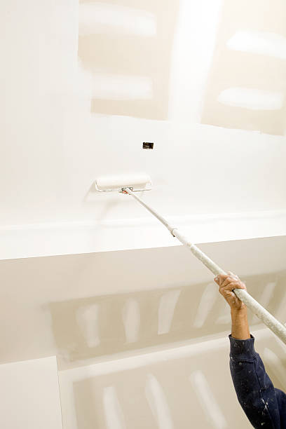 Best Mold Documentation for Insurance Claims  in Clark, SD