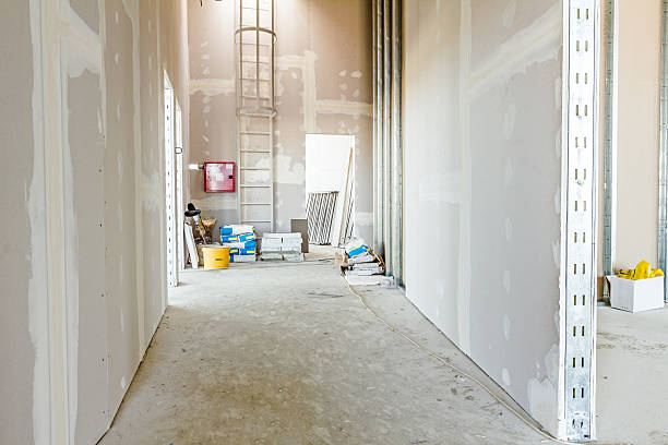 Best Emergency Mold Remediation  in Clark, SD