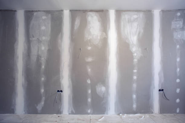 Best Asbestos and Lead Testing During Mold Inspection  in Clark, SD